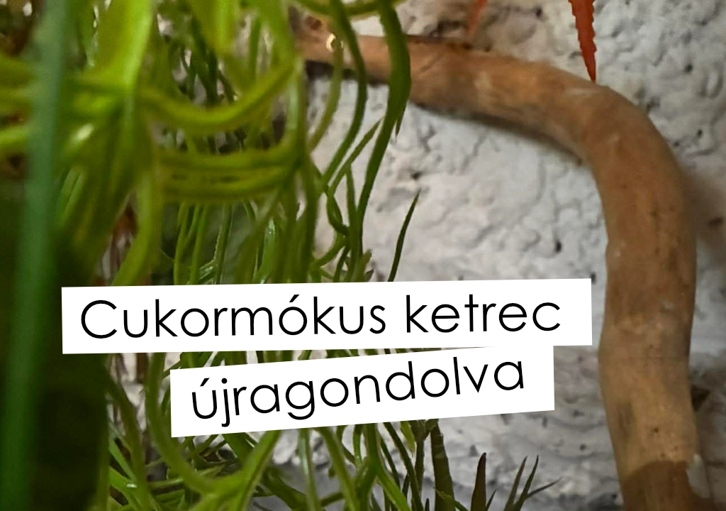 Cukormókus ketrec kialakítása, élő vagy műnövény?